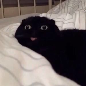 Meet your Posher, Chloe